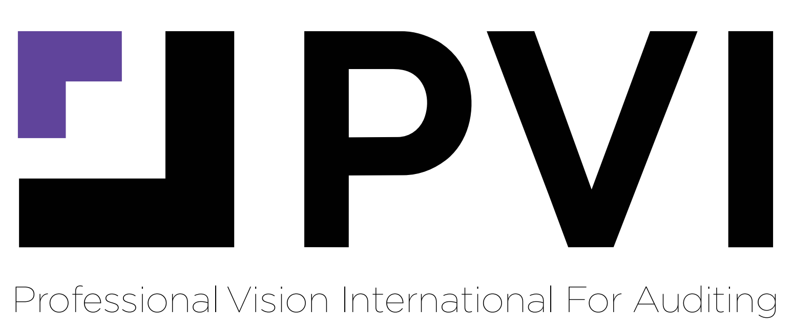 Professional Visi